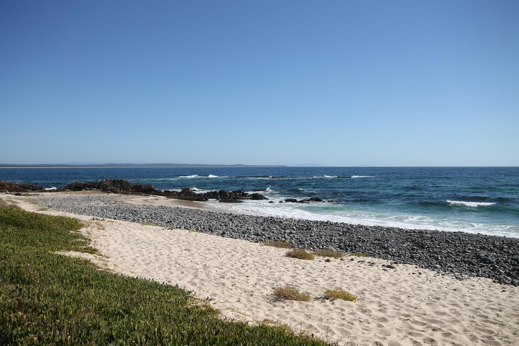 Chill-Out Beachside - Main Beach Forster Exteriör bild